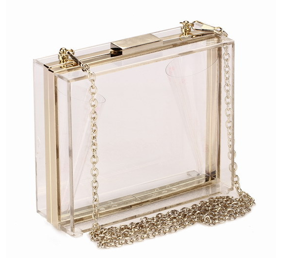 Clutch de Acrílico Transparente